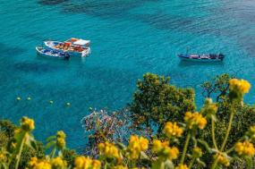 Secrets of Greece including Corfu (Women Only)