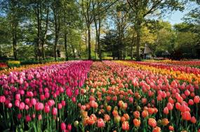 Chelsea Flower Show & Springtime in the Alps - 2023