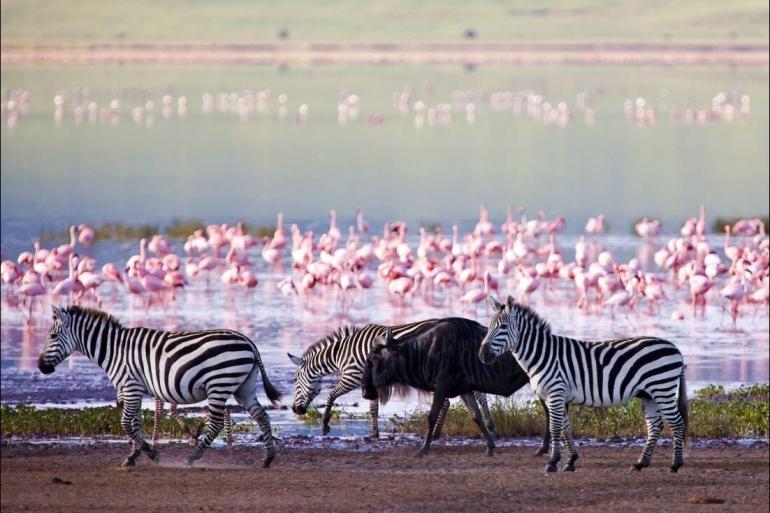 Cultural Relaxing Retreat Serengeti & Ngorongoro Safari package