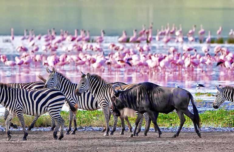 Safari to Kilimanjaro - Machame Route tour