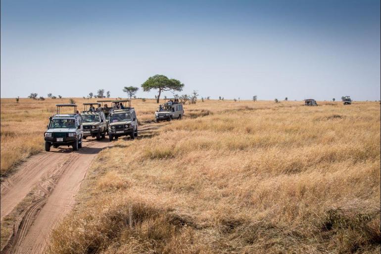 Arusha Nairobi Safari to Kilimanjaro - Machame Route Trip