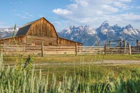 Yellowstone & the Tetons: American Safari 2021