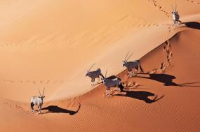 Namibia Adventure