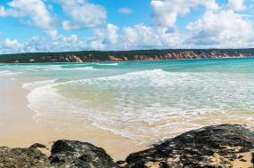 Fraser Island Explorer
