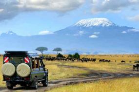 Kenya Safari: Mara to Mombasa