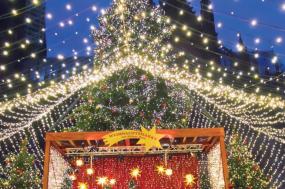 Rhine Holiday Markets (2021)