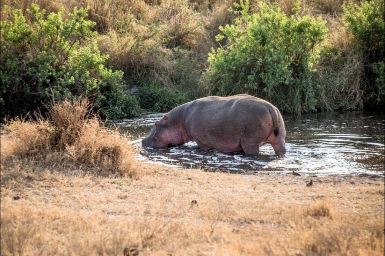 Safari Land expedition Safari to Kilimanjaro - Machame Route package