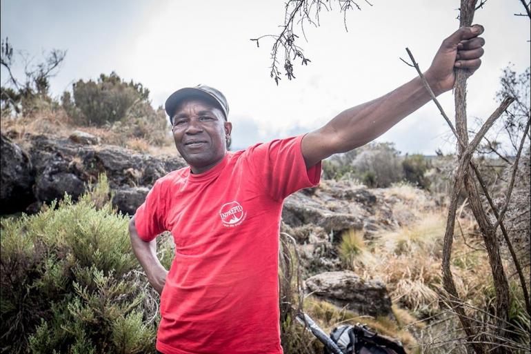 Trekking & Expeditions Trekking Kilimanjaro: Marangu Route package