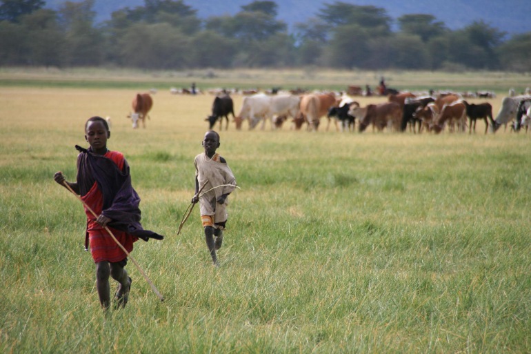 Ngorongoro Crater Serengeti National Park Tanzania Wildlife Safari Trip