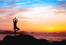 Yoga, Meditation & Wellness