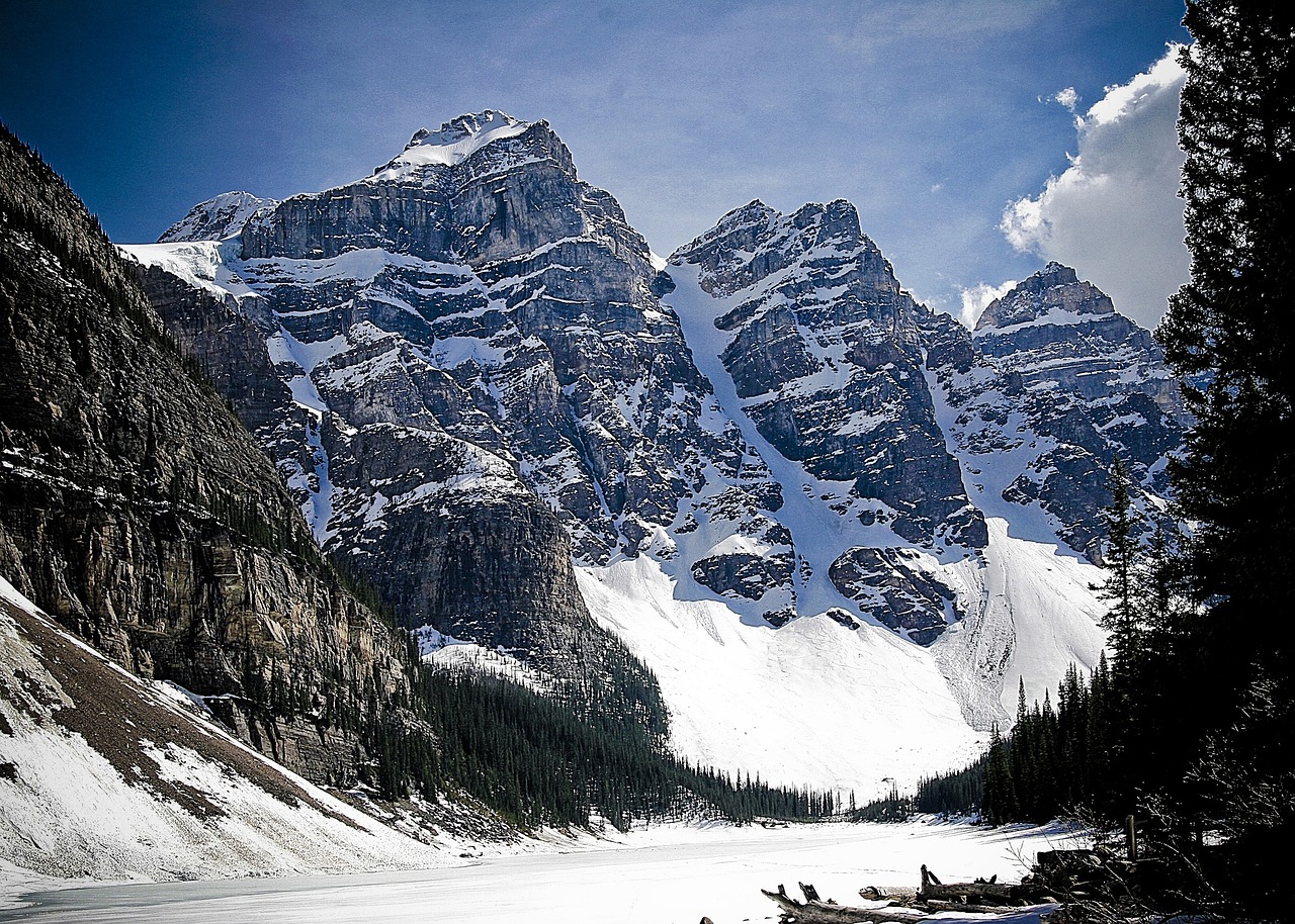 Canadian Rockies and Glacier Park by Caravan Tours 27 reviews
