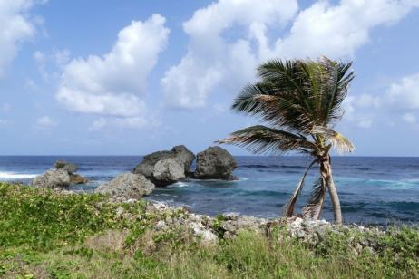 Bequia Beach Hotel & Barbados & Grenada 