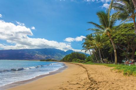 Surfing, Volcanoes and Rainforests: Hawaii With Your Grandchild