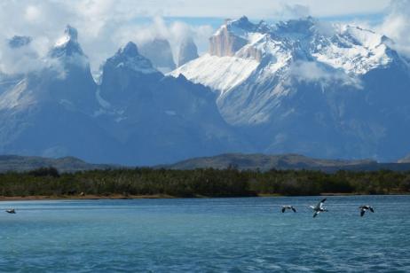 The Patagonia Explorer