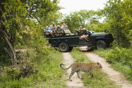 Explore Kruger National Park tour