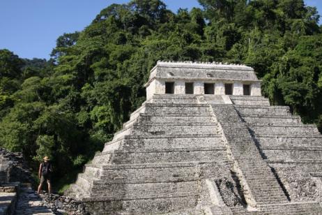 Birding the Mayan Ruins of the Yucatan from the Caribbean to Palenque