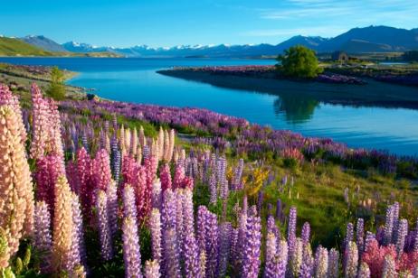 New Zealand: The South Island