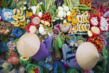 Vietnam Foodie's Paradise in 10 Days