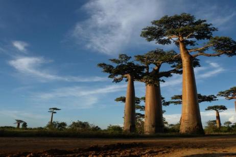 1000 Views of Madagascar tour