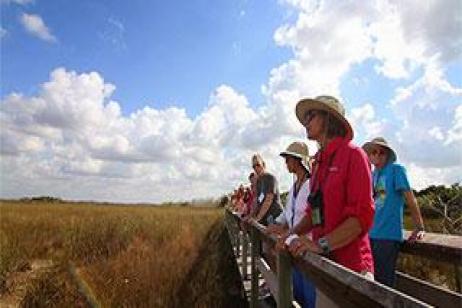 Keys, Everglades & Dry Tortugas: Human History & Outdoor Study