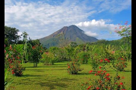 Costa Rica: A World of Nature featuring Tortuguero National Park, Arenal Volcano & Manuel Antonio National Park - 2024