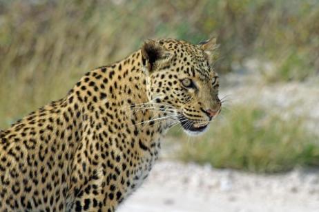Discover Namibia - Lodges