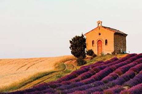 The Best of Southern France: Provence and the Cote d'Azur