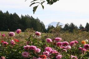 Oregon's Coast, Cascades & Craft Beers