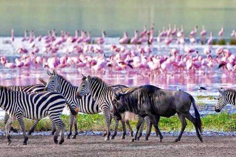 Safari to Kilimanjaro - Machame Route tour
