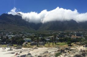 Cape Town & The Magical Mystery Safari