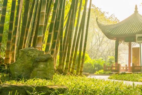 Splendours of China
