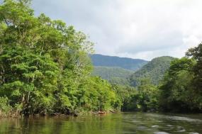 Grand tour of Borneo