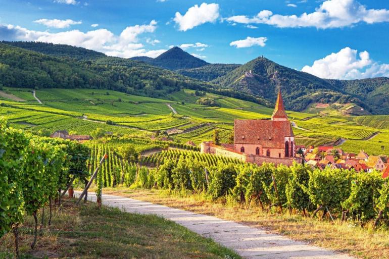 Cycling the Wine Route of Alsace tour