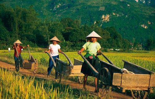 Bike Hike And Kayak Northern Vietnam By World Expeditions 331 Reviews