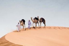Abu Dhabi Explorer (deluxe)