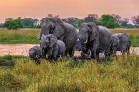 Botswana, South Africa & Zambia 2021
