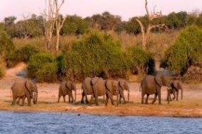 Botswana In Depth
