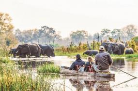Southern Africa Safari(Twin Share Room,Start Cape Town, End Windhoek)