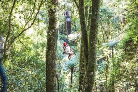 Kiwiana Panorama Plus Kaikoura - Auckland to Queenstown (Oct 2022 to May 2023)