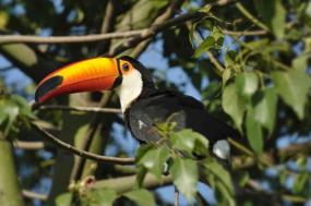 Costa Rica 360