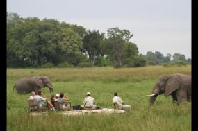 Green season safari in the Okavango Delta