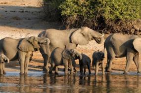 Images Of Africa (7 Days)