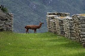 Machu Picchu Getaway with Pre-Stay in Lima