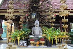 Cambodia Classic