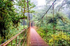 Costa Rican Adventure: White Water Rafting, Zip Lines & Snorkeling