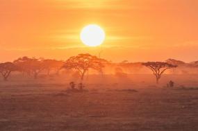 East Africa Safari: Gorillas and the Big Five
