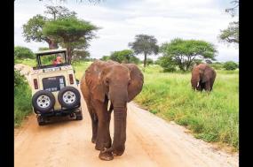 Taste of Tanzania 2023-24