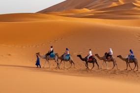 Morocco: Hike & Bike