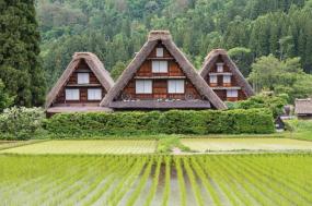 Splendours of Japan - Celebrate Takayama Festival