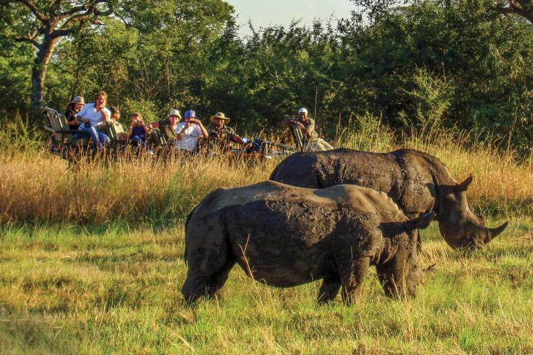 Wildlife Odyssey: South Africa, Botswana & Zimbabwe 2024 tour